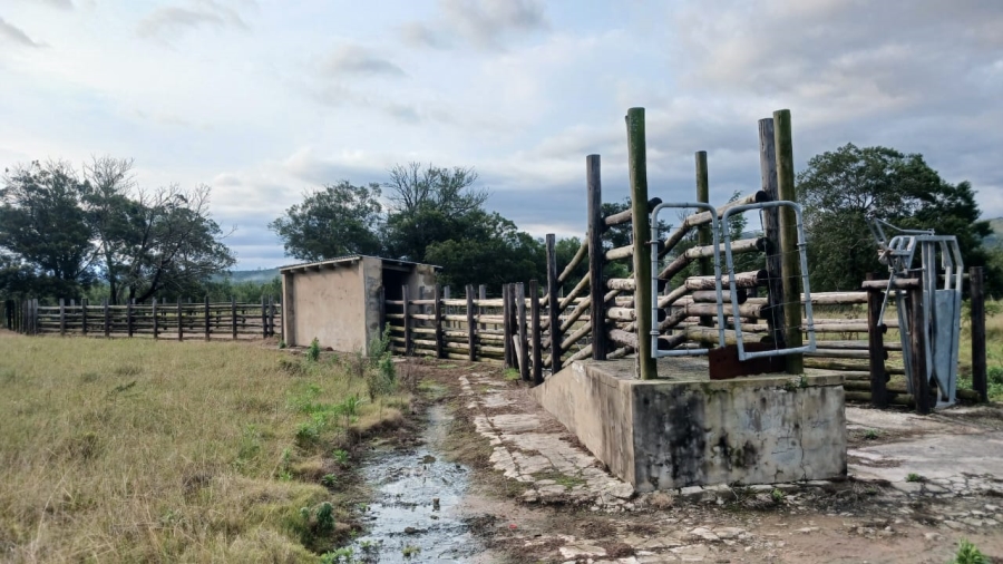 Commercial Property for Sale in Bathurst Rural Eastern Cape